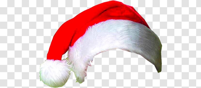 Santa Claus Bonnet Christmas Photography - Fictional Character Transparent PNG