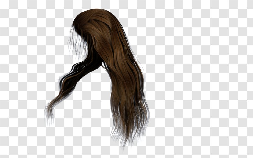 Hairstyle Brown Hair Wig Long - Silhouette Transparent PNG