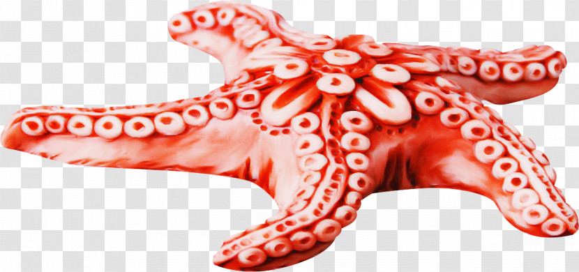Red Pink Giant Pacific Octopus Octopus Transparent PNG