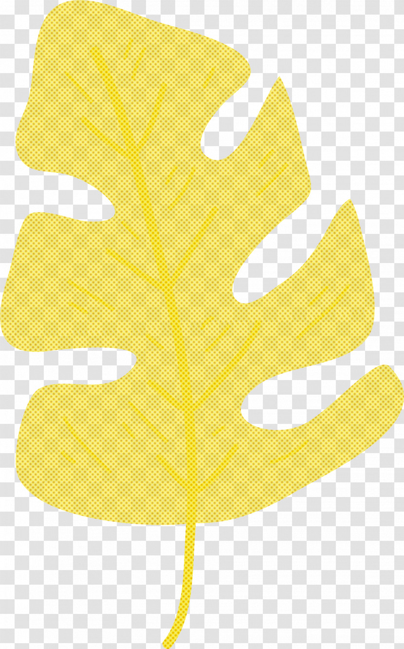 Leaf Yellow Font Meter Tree Transparent PNG