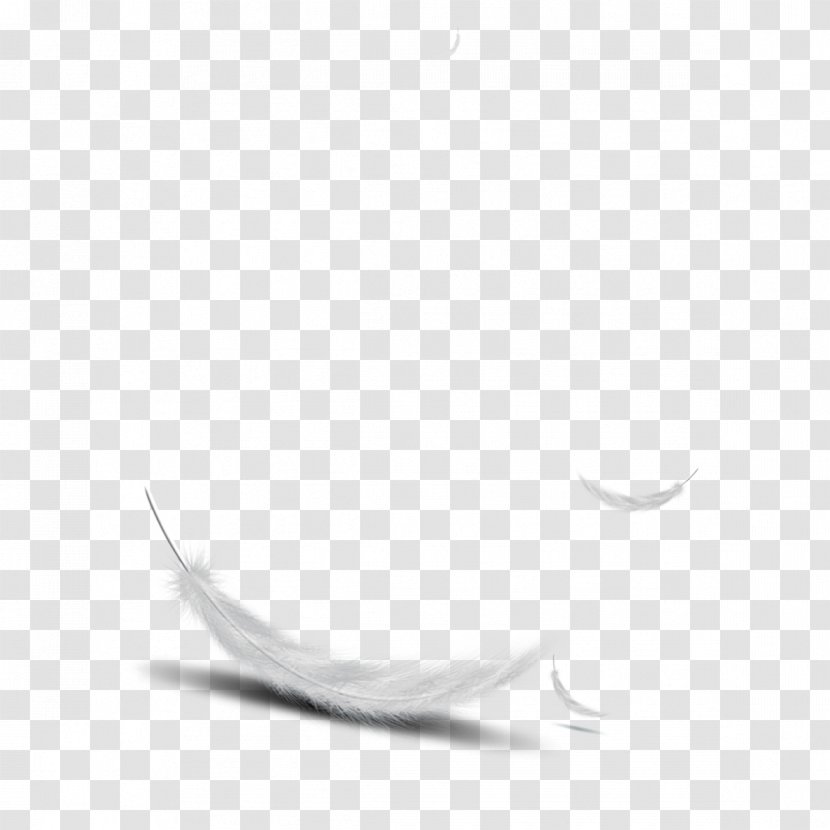 Feather Bird - Black And White - Falling Feathers Transparent PNG