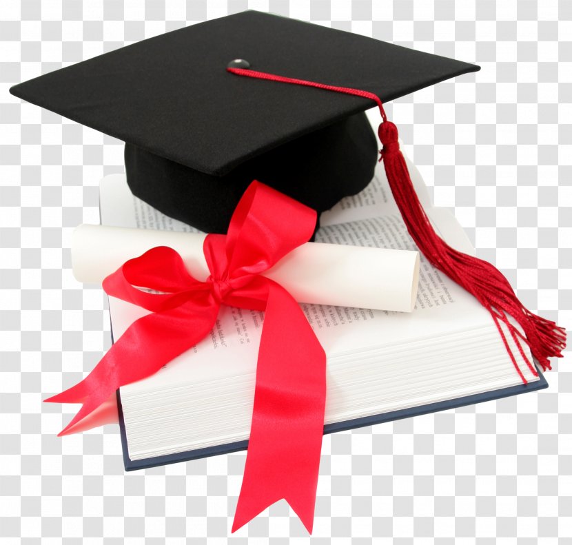 Student Diploma Academic Degree Graduation Ceremony Education - Ribbon Transparent PNG