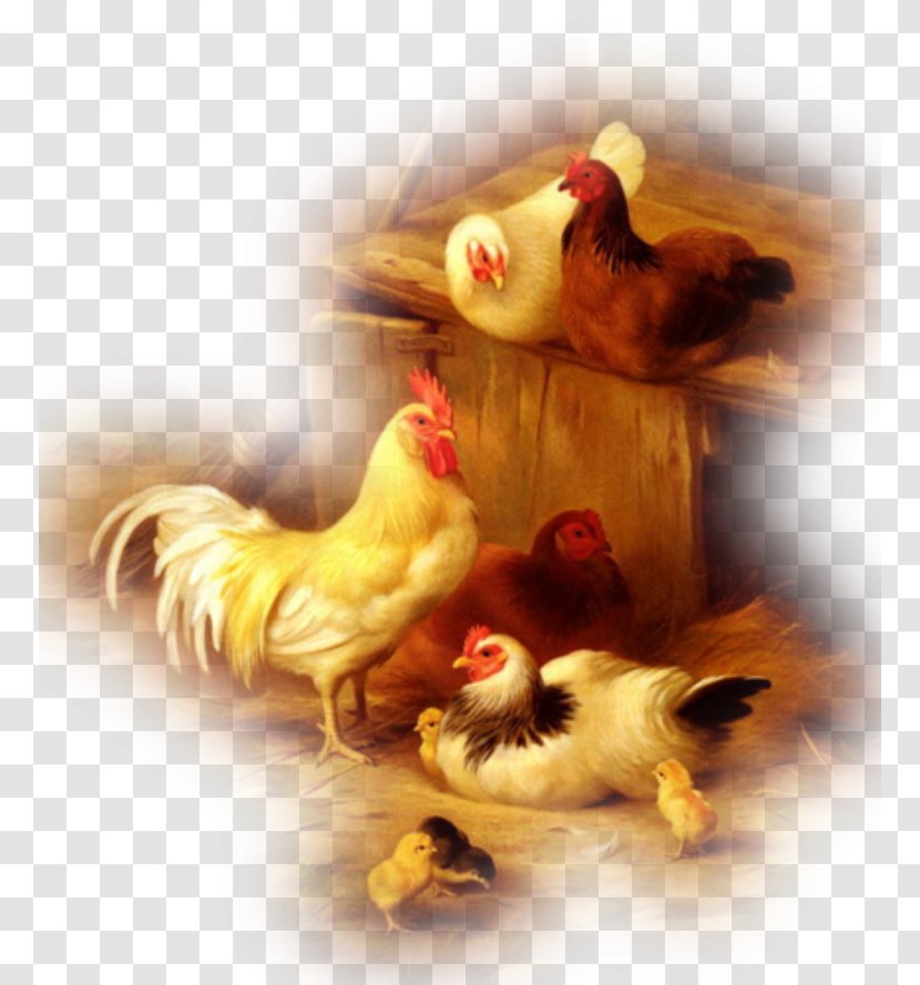 Oil Painting Reproduction Chickens And Chicks - Chicken Transparent PNG