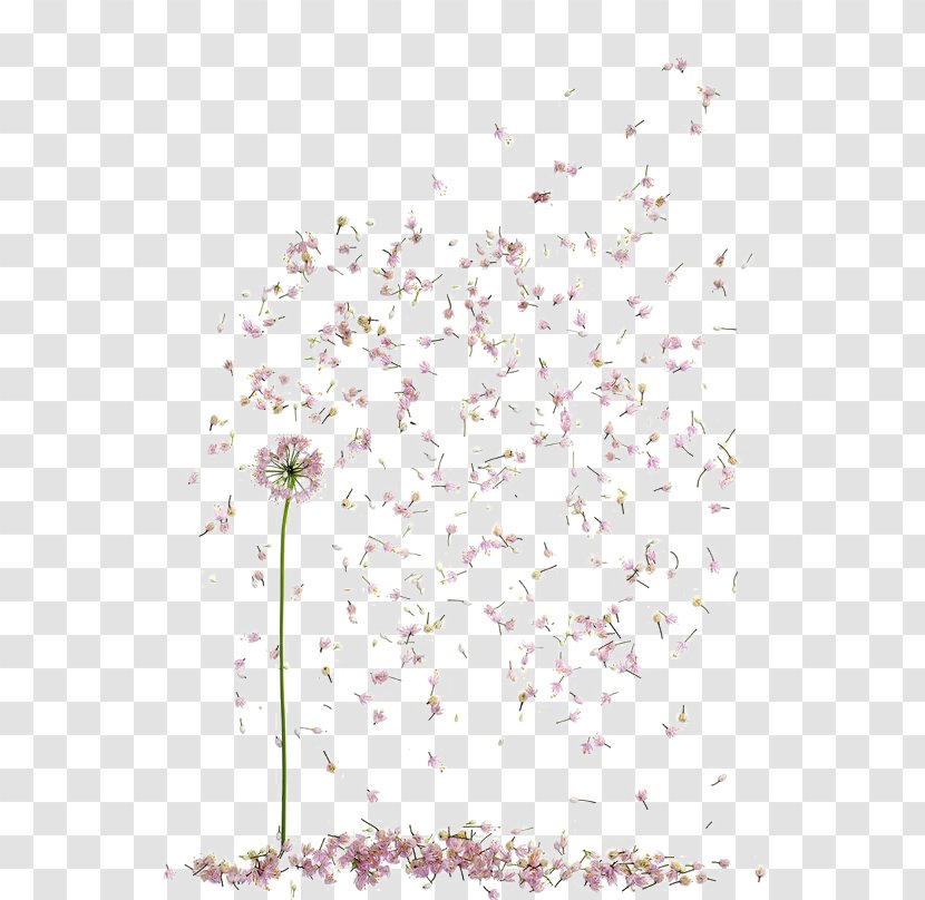 Floral Design Petal Flower Clip Art - Arranging - Falling Flowers Transparent PNG