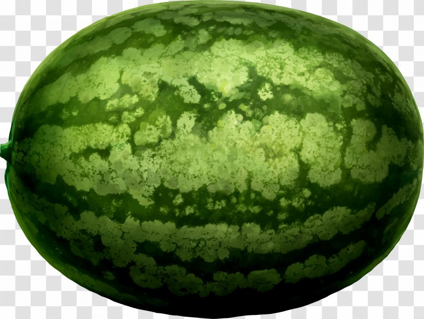 Watermelon Honeydew Clip Art Transparent PNG