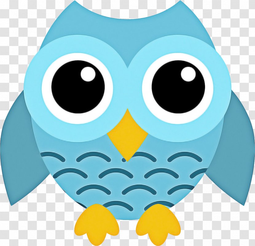 Owl Cartoon - Bird - Of Prey Aqua Transparent PNG
