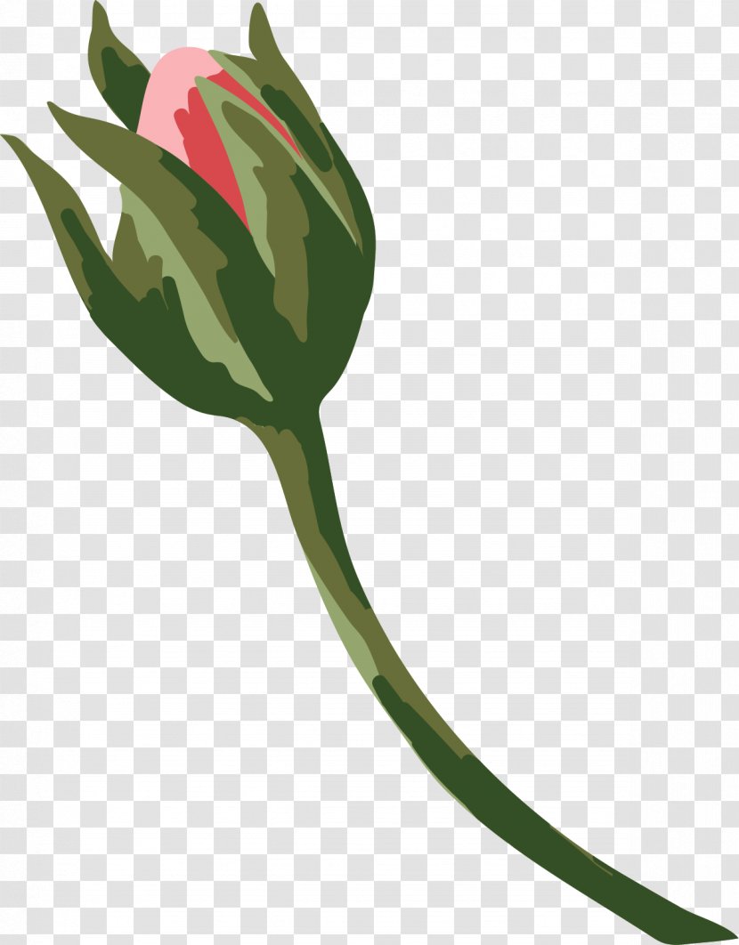 Image Clip Art Adobe Photoshop Design - Flora - Ganesha Flower Transparent PNG