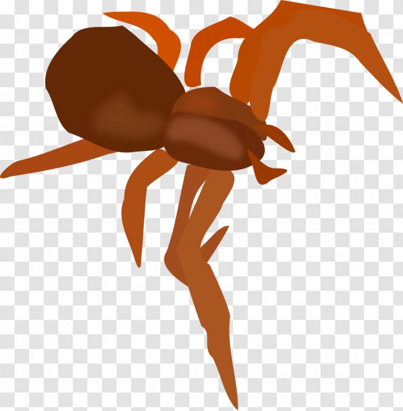 Spider Clip Art - Pest Transparent PNG