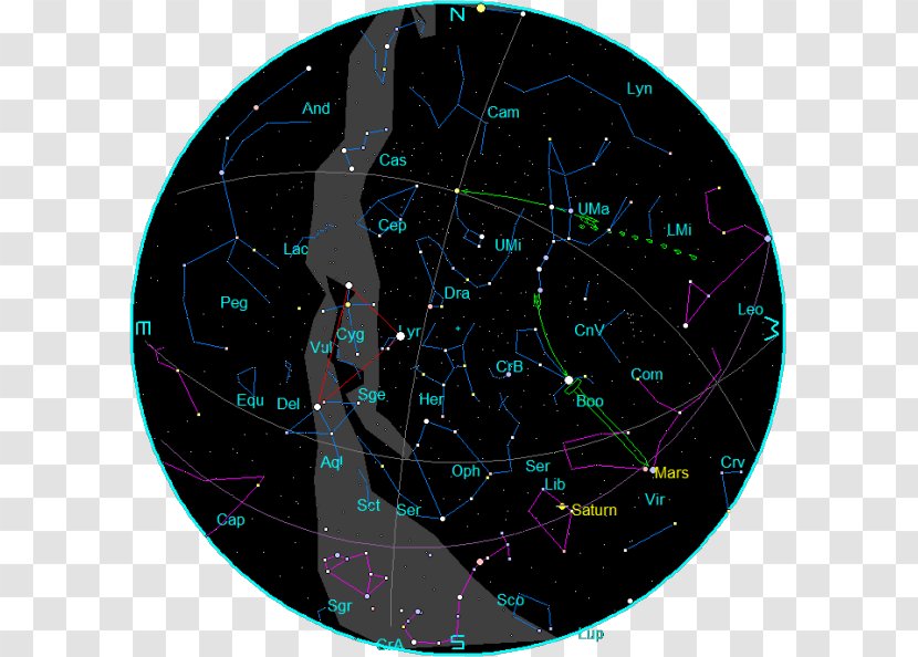 Star Chart Horoscope Sky Zodiac - Organism Transparent PNG