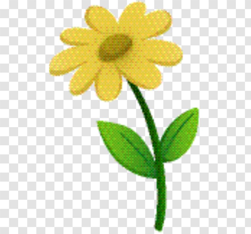 Yellow Background - Pedicel - Chamomile Transparent PNG