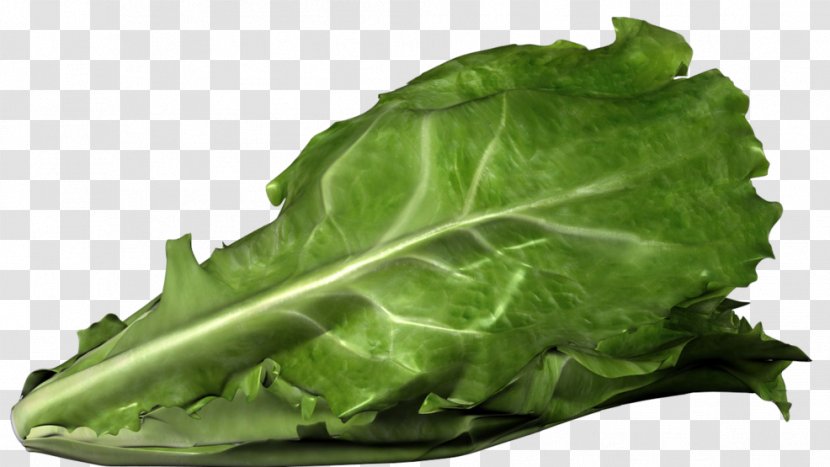 Romaine Lettuce Centers For Disease Control And Prevention Health Outbreak - Sandwich Transparent PNG