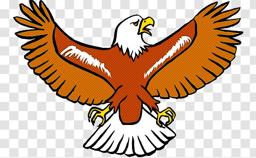 Eagle Logo - Bald - Buzzard Transparent PNG