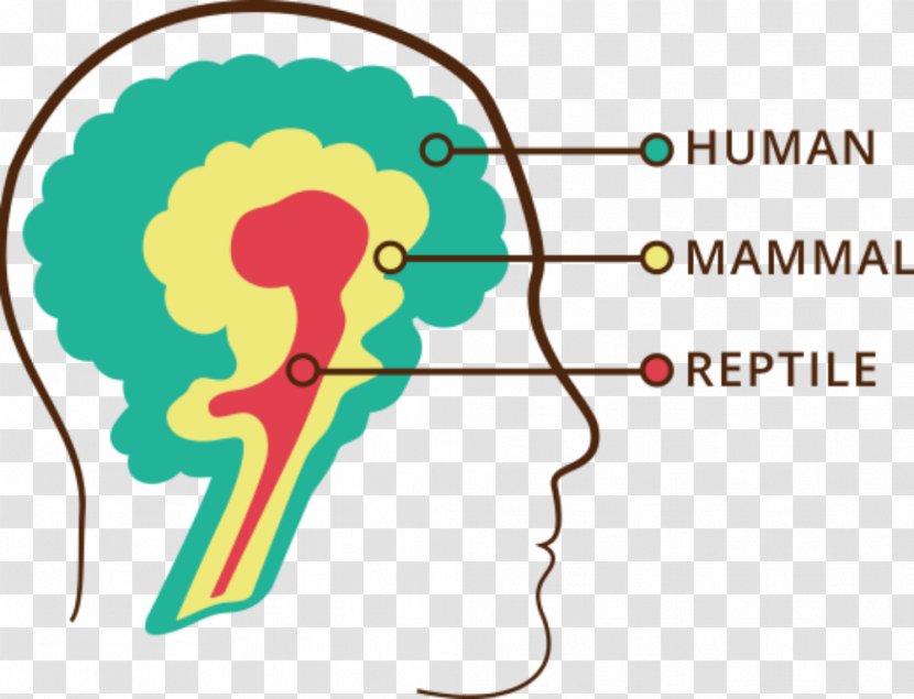 Triune Brain Reptile Head Strong: The Bulletproof Plan To Activate Untapped Energy Work Smarter And Think Faster-in Just Two Weeks Human - Cartoon Transparent PNG