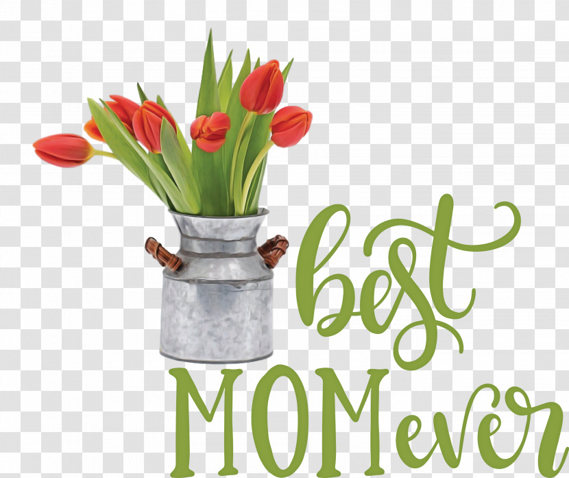 Mothers Day Best Mom Ever Mothers Day Quote Transparent PNG