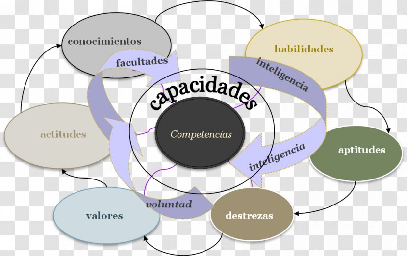 Competency-based Curriculum Competencia Education Skill - Agente Transparent PNG