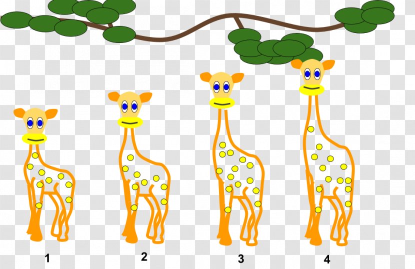 Giraffe Lamarckism Organism Evolution Clip Art - Offspring - Giraffes Transparent PNG