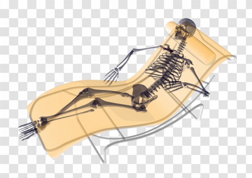 Human Skeleton U9ab7u9ac5 Photography - Silhouette - Folding Chair Lying In Bed Transparent PNG