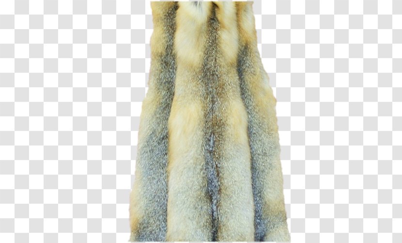 Fur Swift Fox Kitfuchsfell Kit Transparent PNG