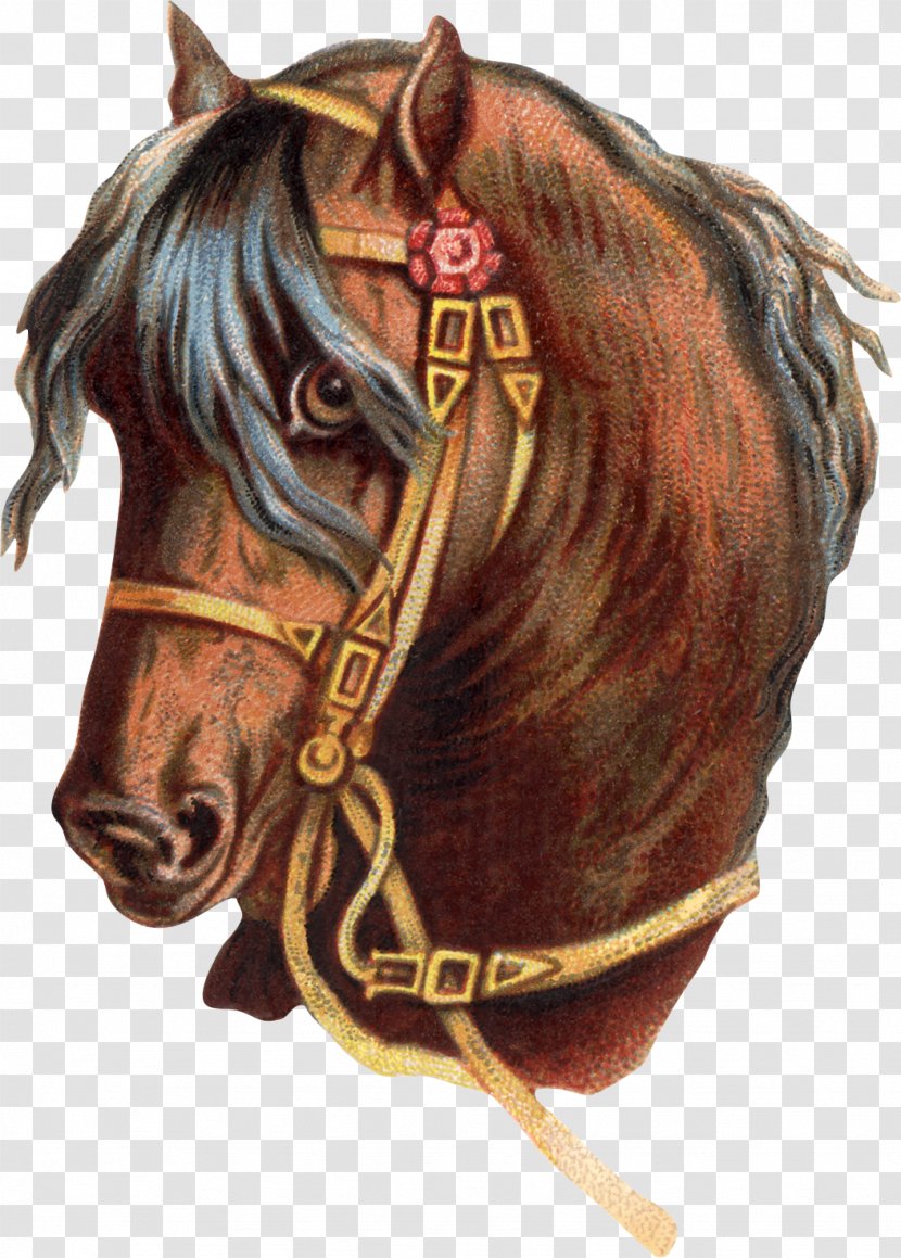 Horse Photography Royalty-free Clip Art - Bridle - Watercolor Transparent PNG