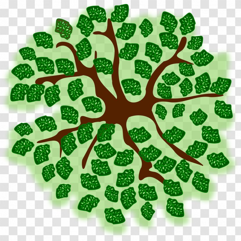 Green Leaf Tree Font - Grass Transparent PNG