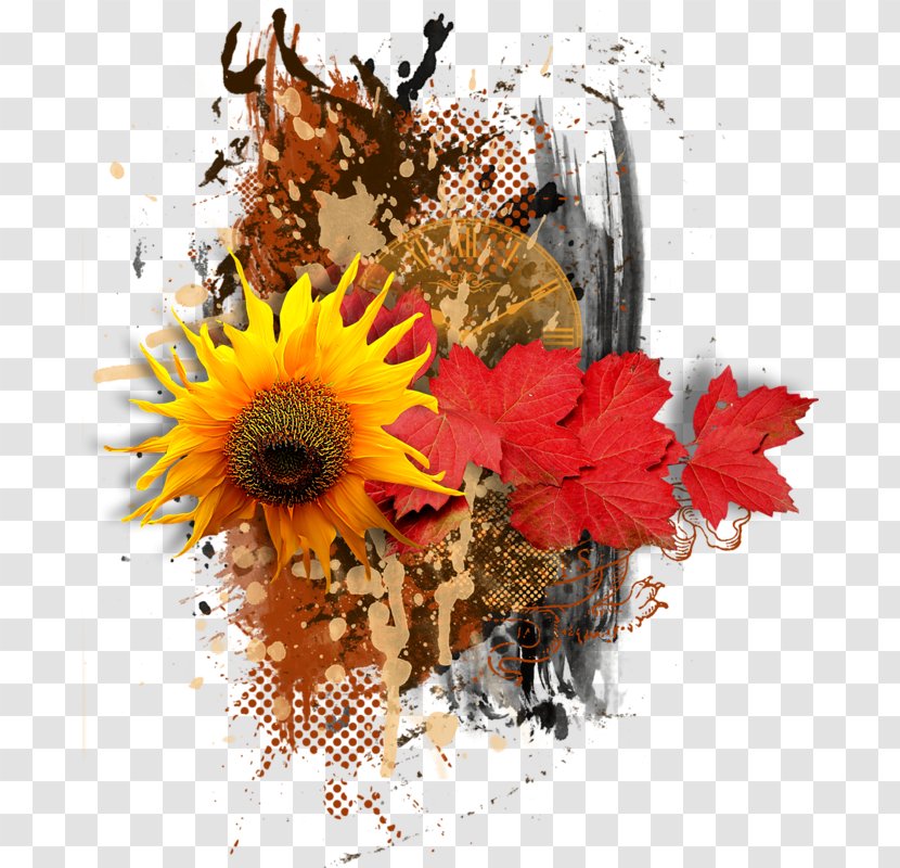 Common Sunflower Floral Design Student Movement - Flower Transparent PNG