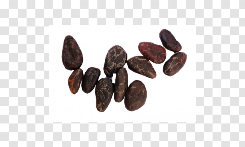 Commodity - Cocoa Bean - Cacao Transparent PNG