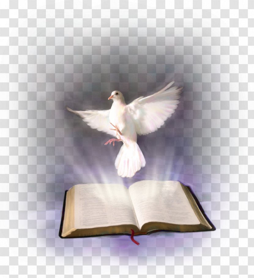 Bible Holy Spirit In Christianity Religious Text - Spiritual Gift Transparent PNG