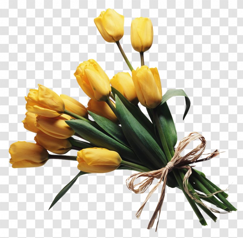 Artificial Flower - Flowering Plant - Crocus Lily Family Transparent PNG