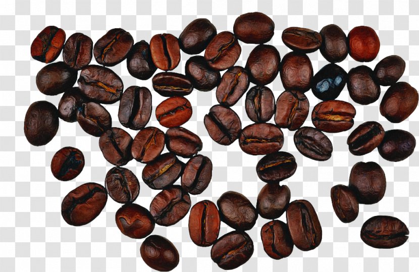 Plant Food Bean Seed Java Coffee - Superfood Caffeine Transparent PNG