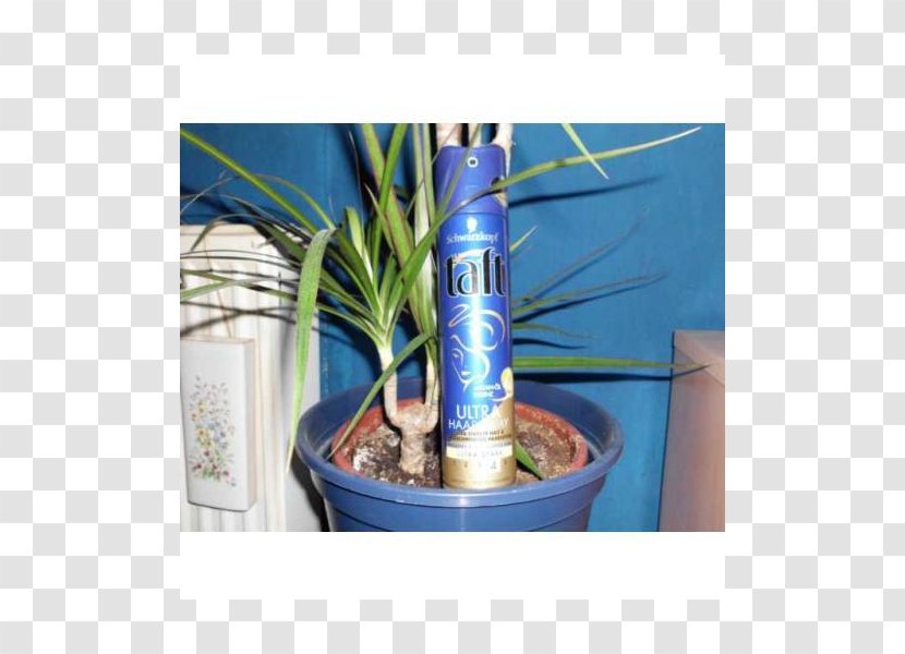 Majorelle Blue Garden Flowerpot Houseplant - Ultra Light Transparent PNG
