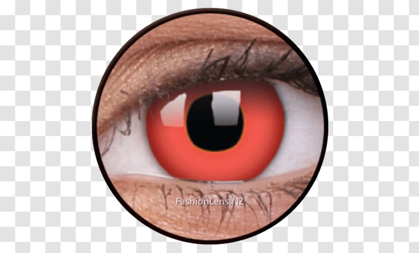 Contact Lenses Eye Color Costume - Cartoon - Lense Transparent PNG