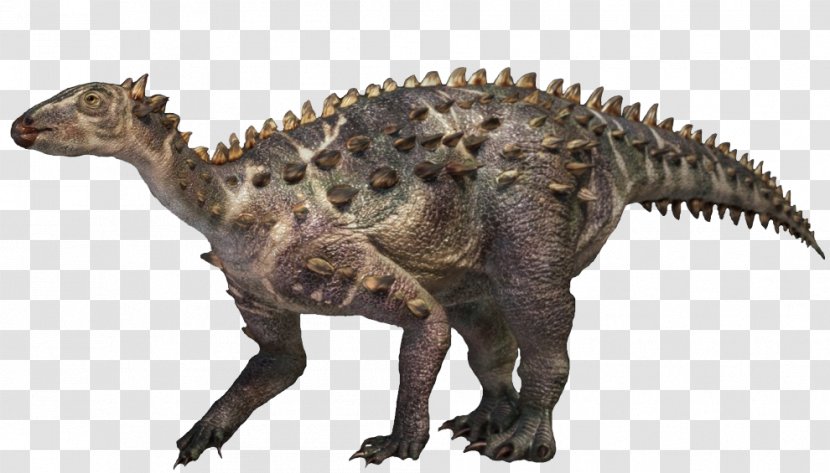 Edmontonia Scelidosaurus Stegosaurus Gorgosaurus Sauropelta - Tyrannosaurus - Dinosaur Transparent PNG