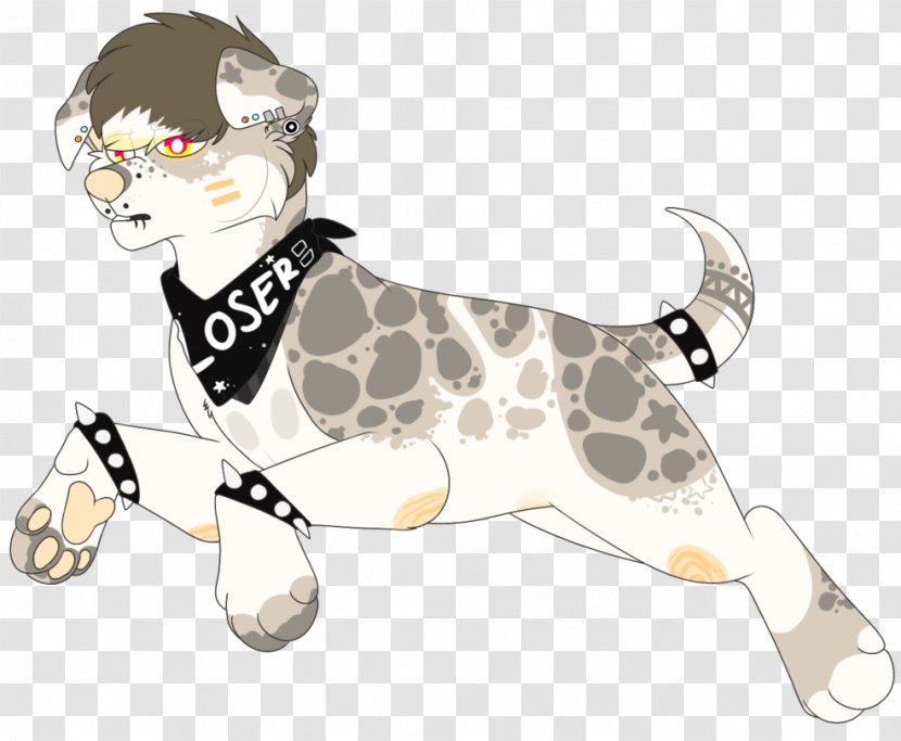 Dalmatian Dog Cat Puppy Non-sporting Group Mammal - Tail Transparent PNG