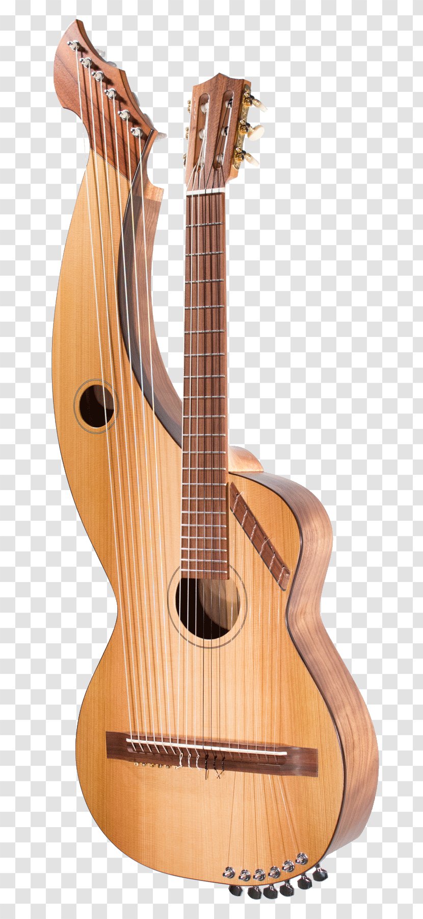 Tiple Acoustic Guitar Bass Cuatro Acoustic-electric - Tree Transparent PNG