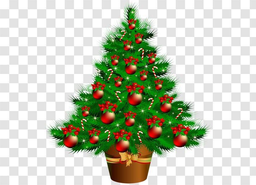 Christmas Tree Ornament Clip Art - Spruce - Decoration Card Transparent PNG