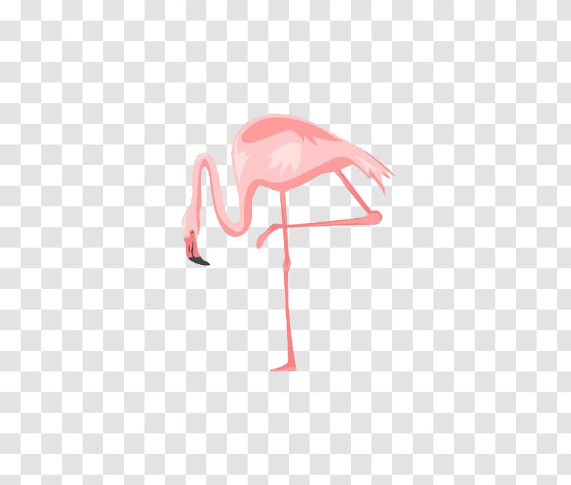 Poster Royalty-free Wall Flamingo - Royaltyfree - Illustration Transparent PNG