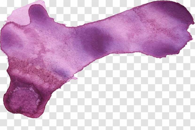 Purple Lilac Watercolor Painting - Stroke Transparent PNG