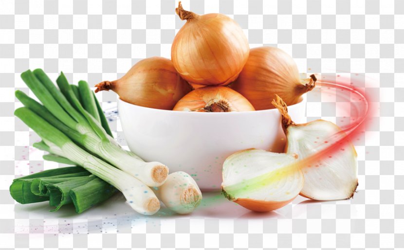 Potato Onion Vegetable Red Scallion - Carrot - Beautiful Bowl Delicate Flavor Green Onions Transparent PNG