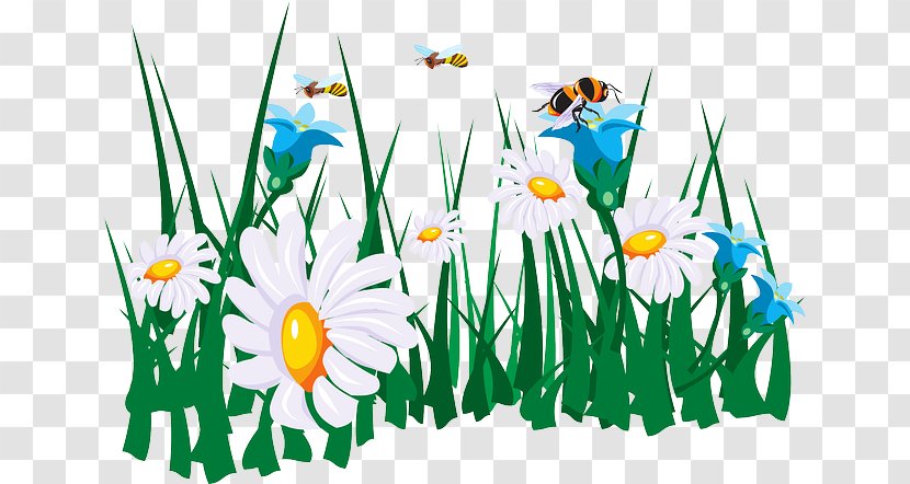 Honey Bee Flower Bumblebee Clip Art - Rumput Transparent PNG