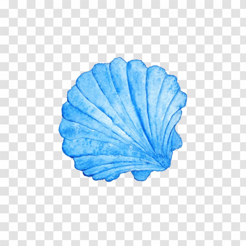 Seashell Watercolor Painting Photography Royalty-free - SEA SHELL Transparent PNG