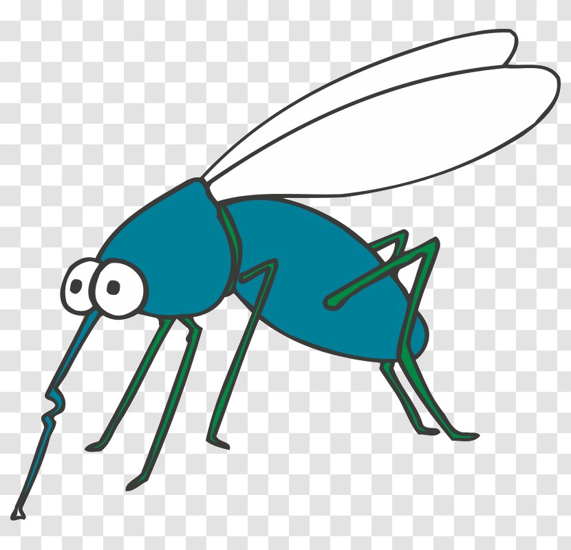 Mosquito Coloring Book Butterfly Ant Transparent PNG