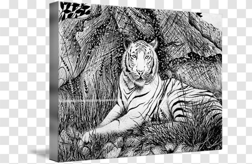 Tiger Cat Drawing Wildlife /m/02csf - Stock Photography Transparent PNG