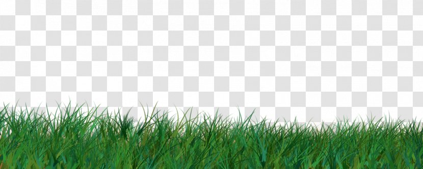 Easter Bunny Egg Eastertide Clip Art - Meadow - Grass Transparent PNG