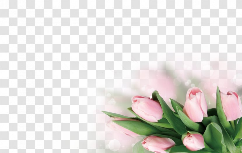 Piano Poster Tulip Flower - Pink - Decoration Transparent PNG