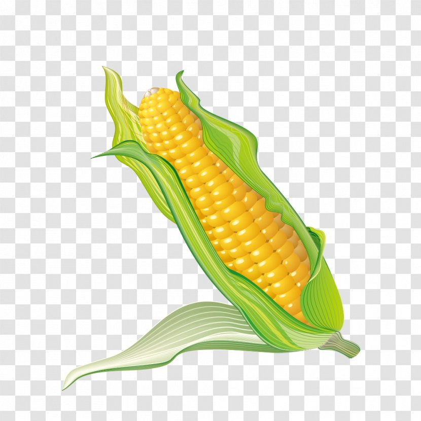 Corn On The Cob Popcorn Maize - Vegetarian Food Transparent PNG