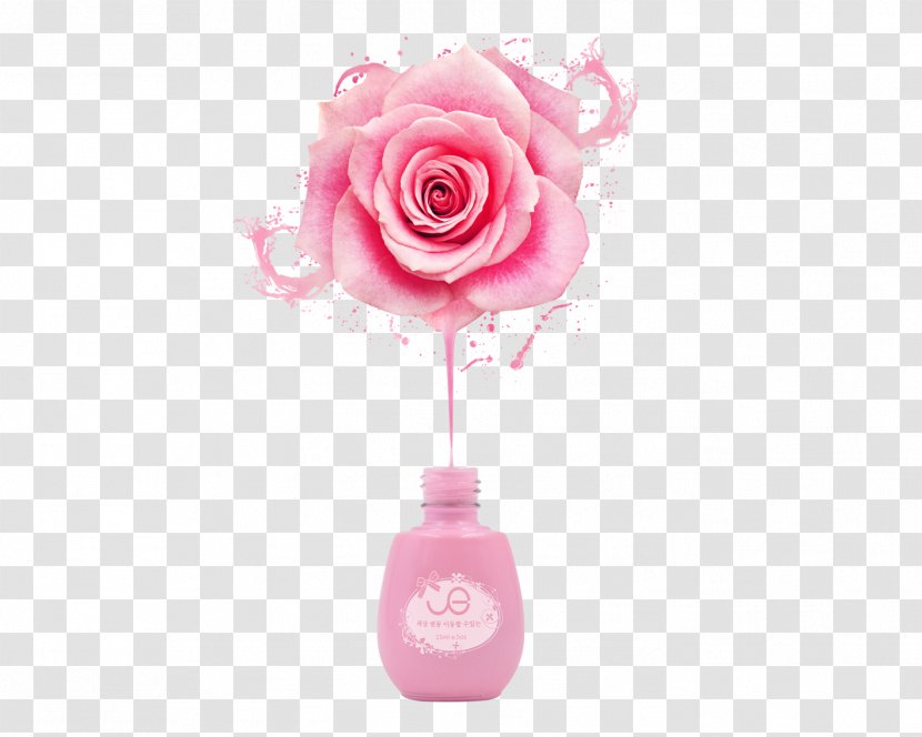 Rose If(we) Download Color - Ifwe - Creative Nail Polish Poster Pink Roses Transparent PNG