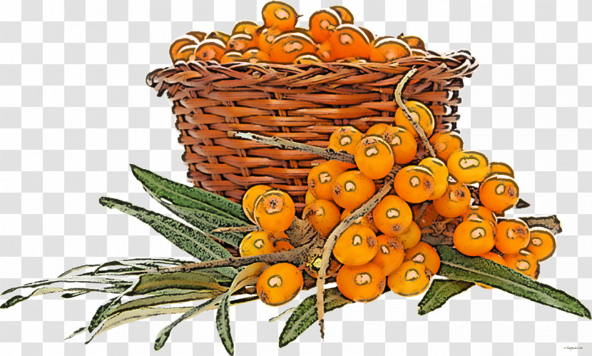 Hippophae Plant Tangerine Fruit Flower Transparent PNG