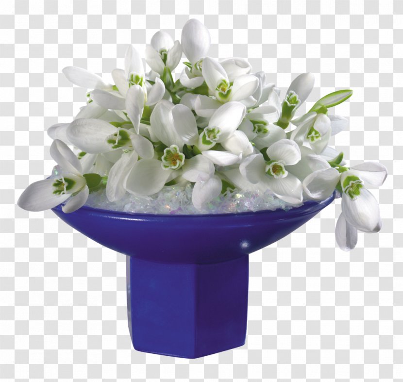 Galanthus Woronowii Flower Jasmine White Rose - Snowdrop Transparent PNG