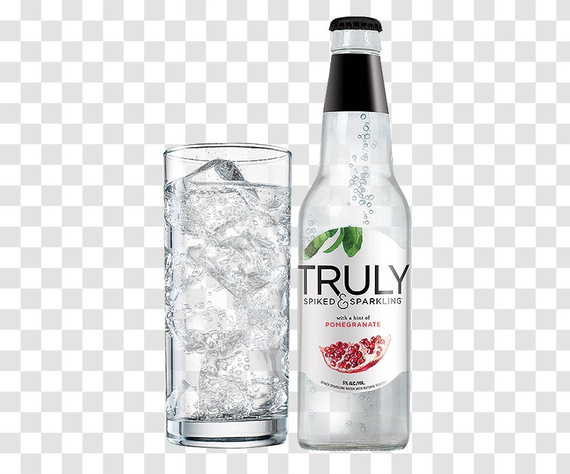 Gin And Tonic Fizzy Drinks Wine Rum - Liquid - Pomegranate Seeds Transparent PNG