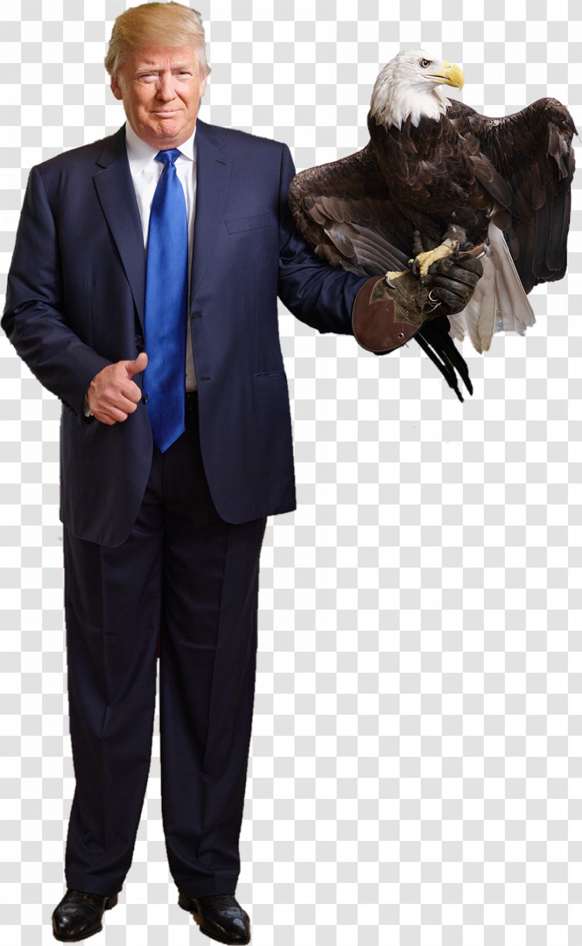 Donald Trump United States Bald Eagle Make America Great Again - Watercolor Transparent PNG